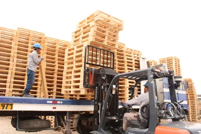 ¿Qué es un pallet? Tipos y capacidad de carga